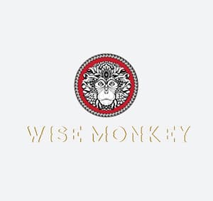 Wise Monkey